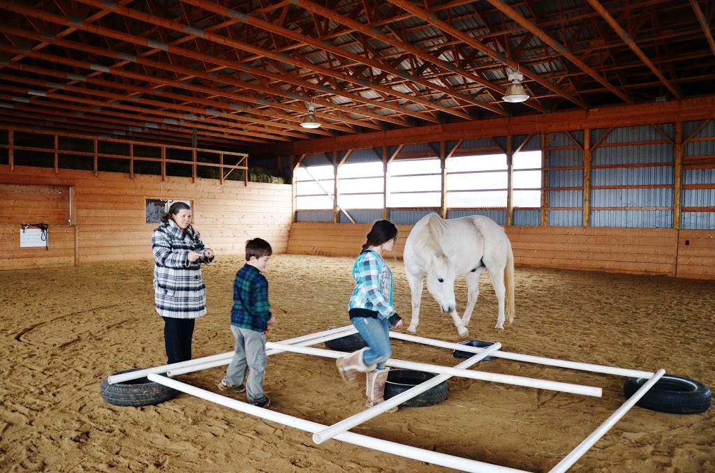 Story Book Meadows Equine Assisted Learning Center & Horse Thera | 8058 Adjala 20 Sideroad, Loretto, ON L0G 1L0, Canada | Phone: (705) 716-7971