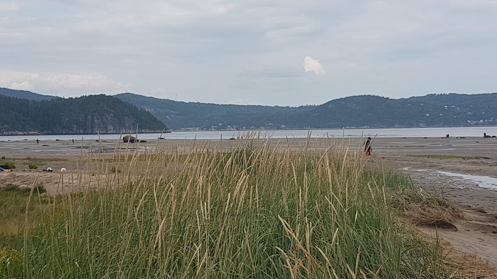 Saguenay-St-Lawrence Marine Park | 182 Rue de lÉglise, Tadoussac, QC G0T 2A0, Canada | Phone: (418) 235-4703
