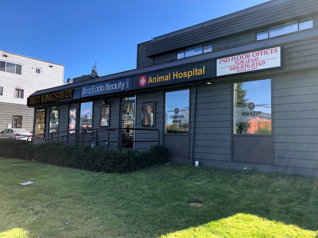 Care Pet Wellness Group | 7877 Kingsway, Burnaby, BC V3N 3E4, Canada | Phone: (604) 521-0781