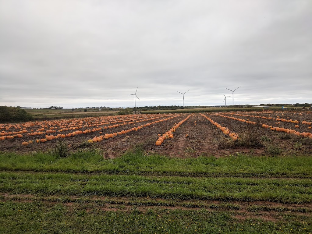 Comptons Vegetable Stand | 268 All Weather Hwy, Summerside, PE C1N 4V4, Canada | Phone: (902) 315-2751
