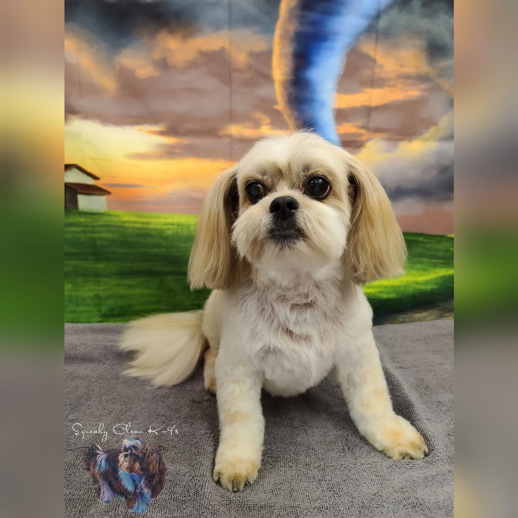 Squeaky Clean K-9s ~ Certified Dog Groomer | 117 Centre St S Bay 3, Sundre, AB T0M 1X0, Canada | Phone: (780) 898-1353