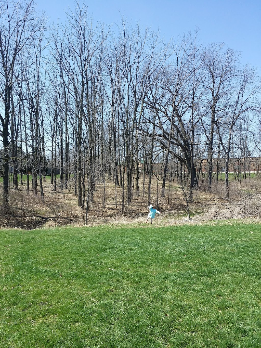 Shawinigan Park | 1 Guildwood Dr, Hamilton, ON L9C 7E8, Canada
