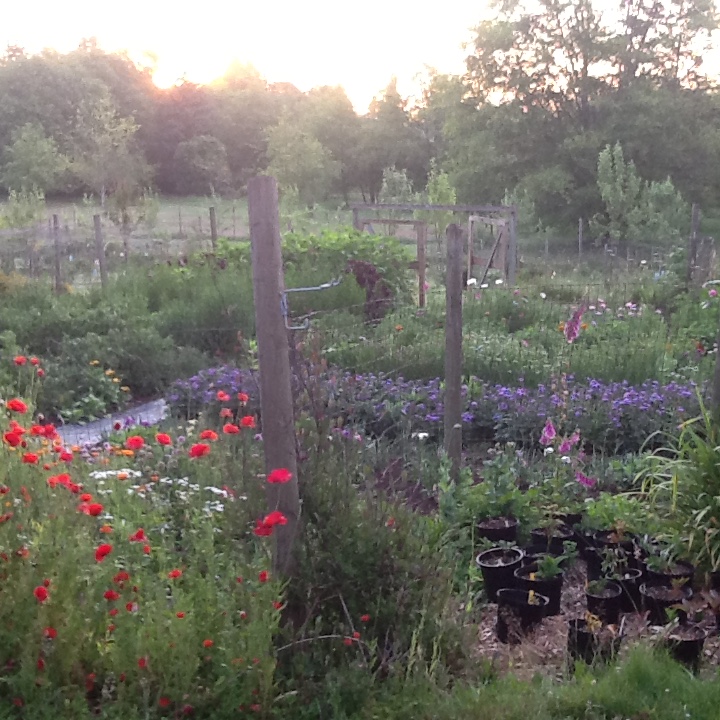 Full Bloom Farm | 2330 Tuttle Ln, Lummi Island, WA 98262, USA | Phone: (360) 758-7173