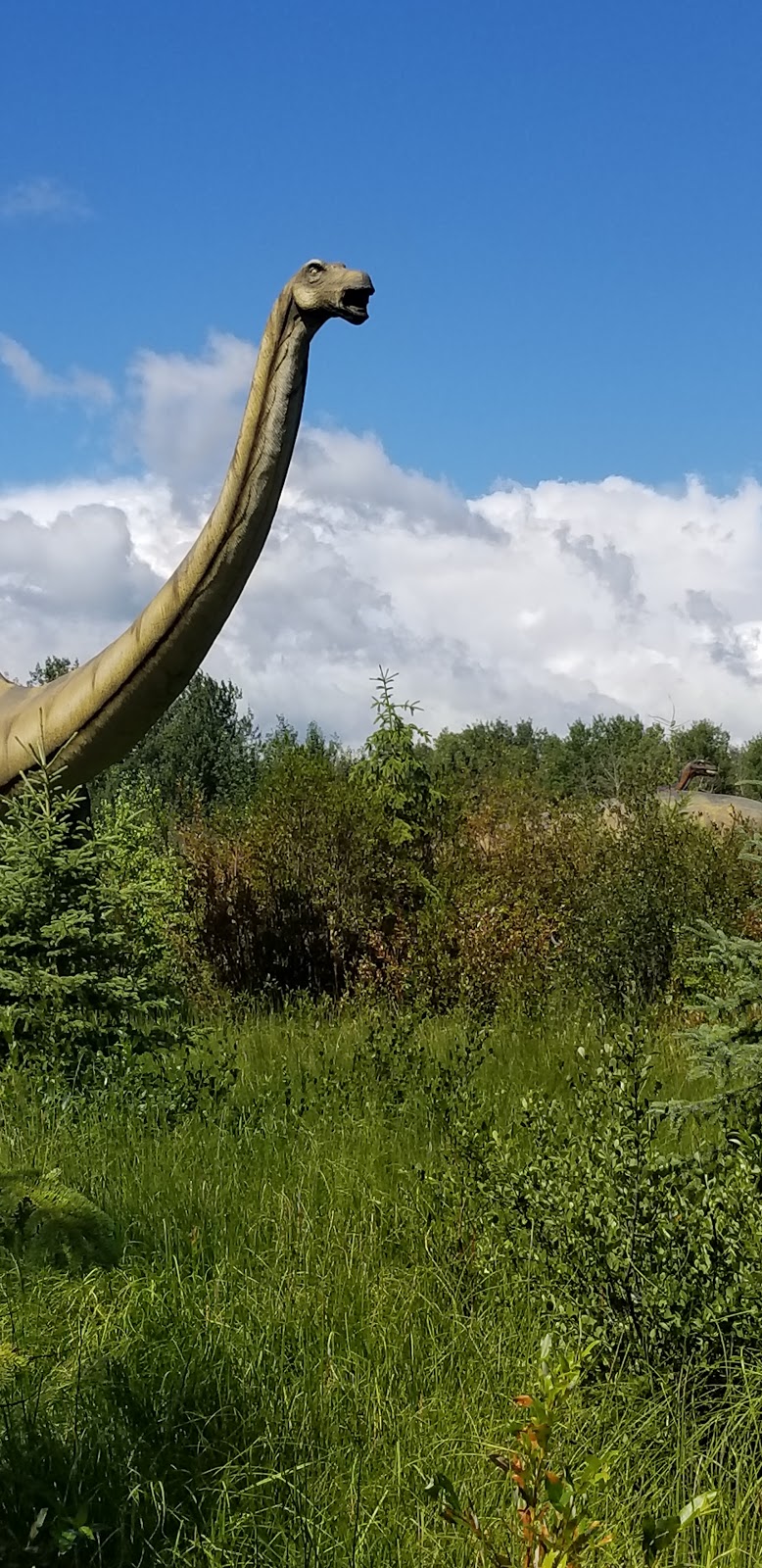 Jurassic Forest | 23210 Township Road 564 #2, Gibbons, AB T0A 1N0, Canada | Phone: (780) 470-2446