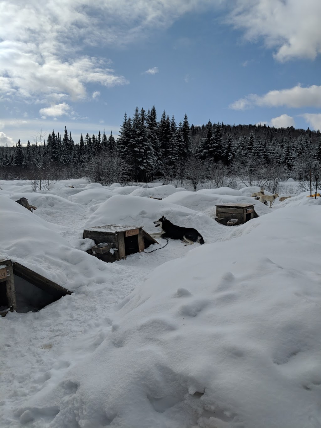 Aventures Nord-Bec Stoneham | 4 Ch des Anémones, Stoneham, QC G3C 0A4, Canada | Phone: (418) 848-3732