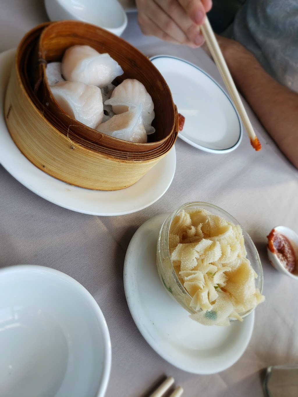 Yangtze Restaurant | 700 Somerset St W, Ottawa, ON K1R 6P6, Canada | Phone: (613) 236-0555