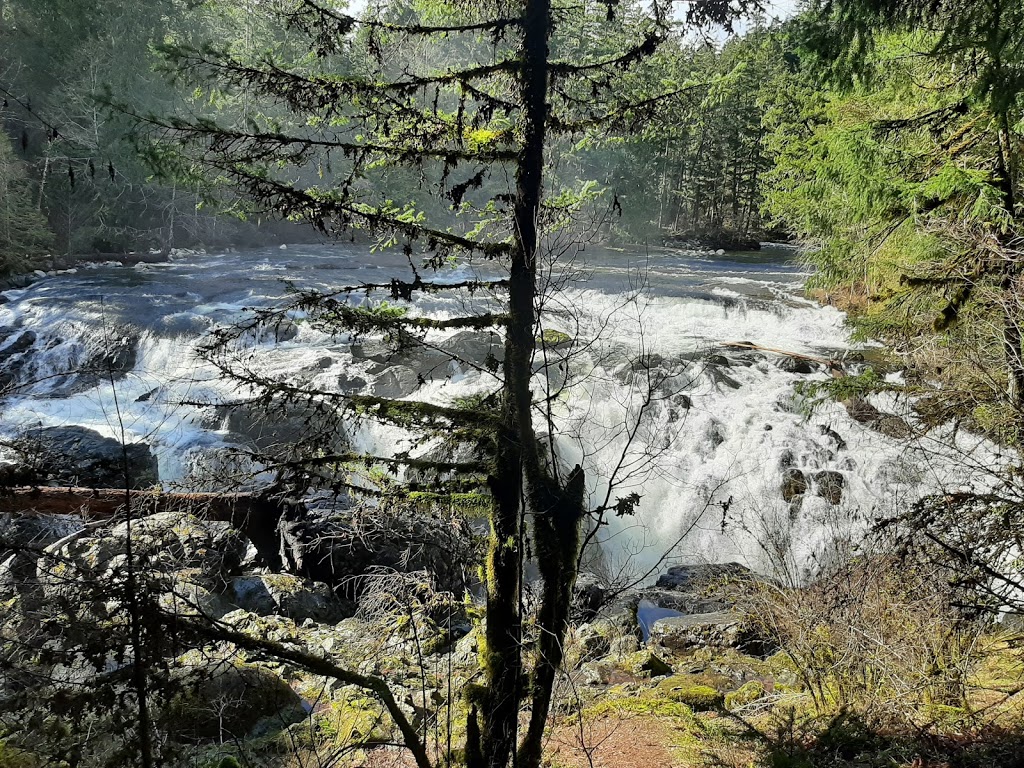 Englishman River Falls (Upper Falls) | Nanaimo F, BC V0R, Canada | Phone: (250) 474-1336