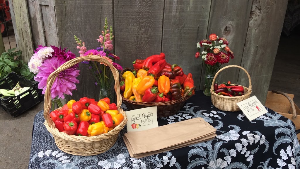 Kingfisher Farm Market | 512 172 St, Surrey, BC V3Z 9R3, Canada | Phone: (604) 560-1405