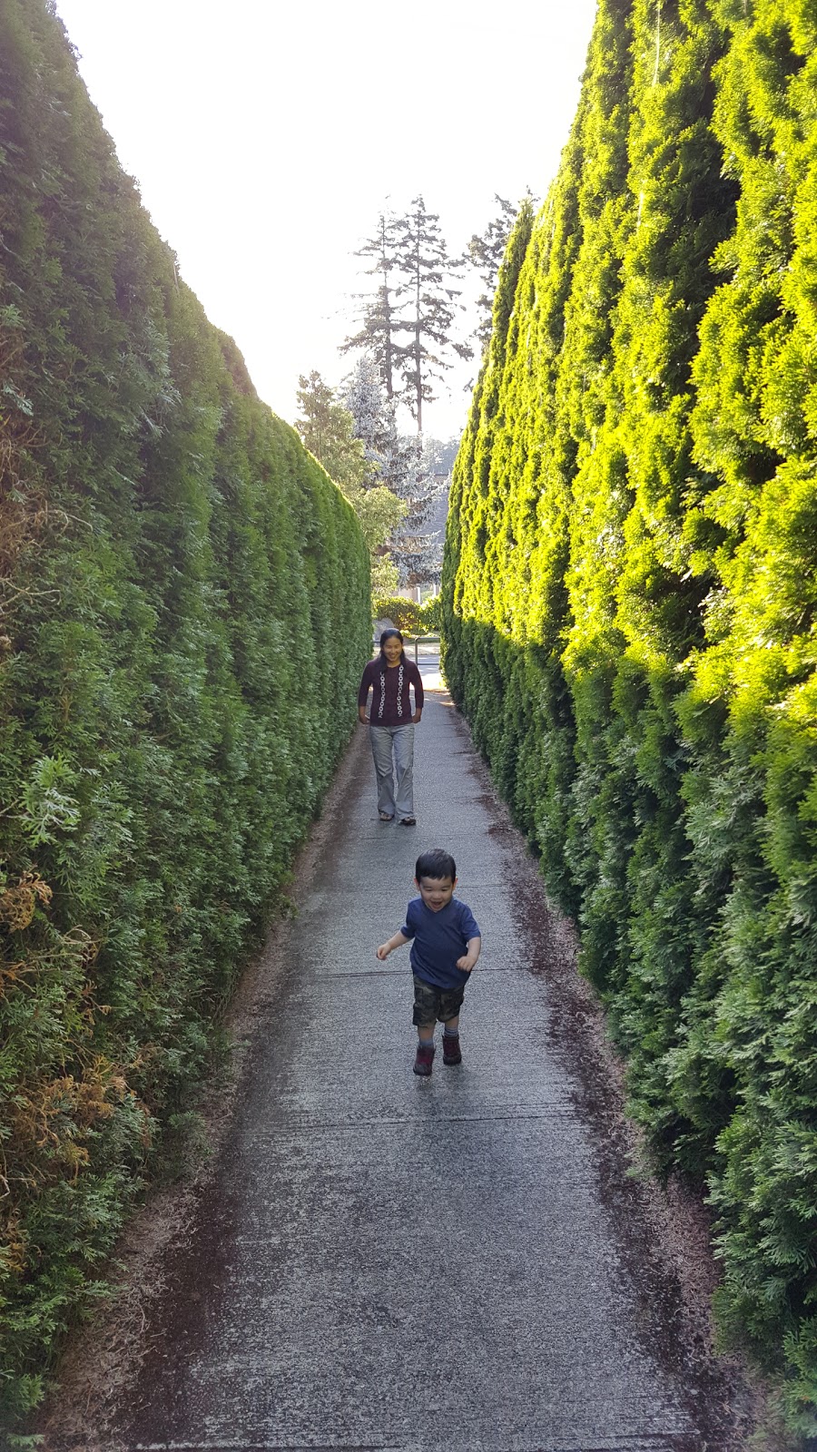 Marigold Park | 1080 Iris Ave, Victoria, BC V8Z 2M8, Canada | Phone: (250) 475-5522