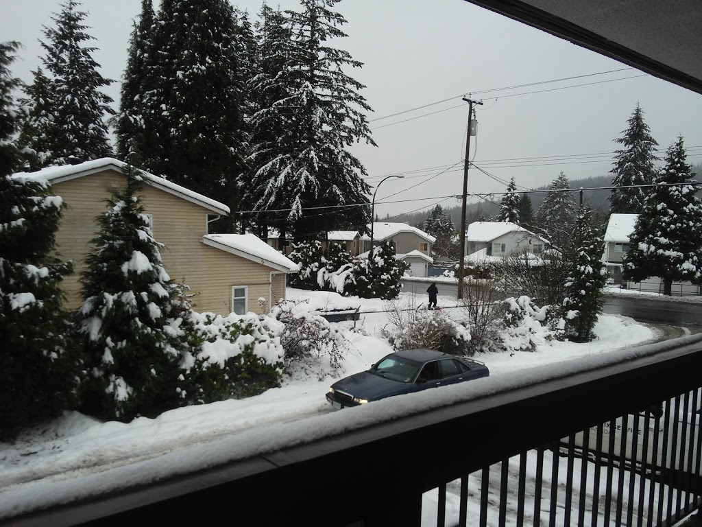 Coquitlam Sleepy Lodge | 730 Clarke Rd, Coquitlam, BC V3J 3Y1, Canada | Phone: (604) 937-7737