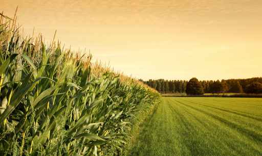 EDA AGENT MANUFACTURIER & CONSULTANT | 1632 Ave du Parc, Plessisville, QC G6L 3M1, Canada | Phone: (418) 808-5065