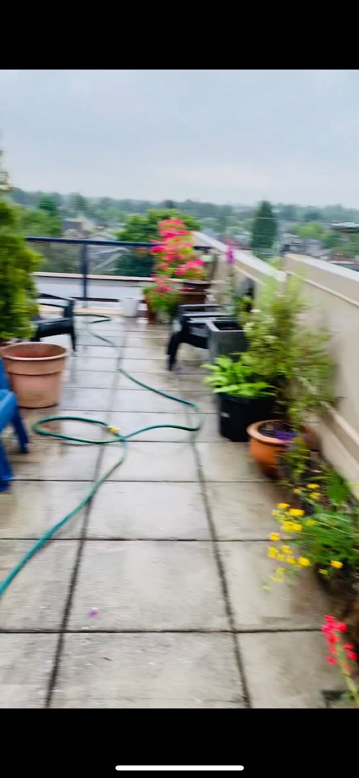 tony solid cleaning services LTD. | 7760 Rosewood St, Burnaby, BC V5E 2H1, Canada | Phone: (604) 358-8442
