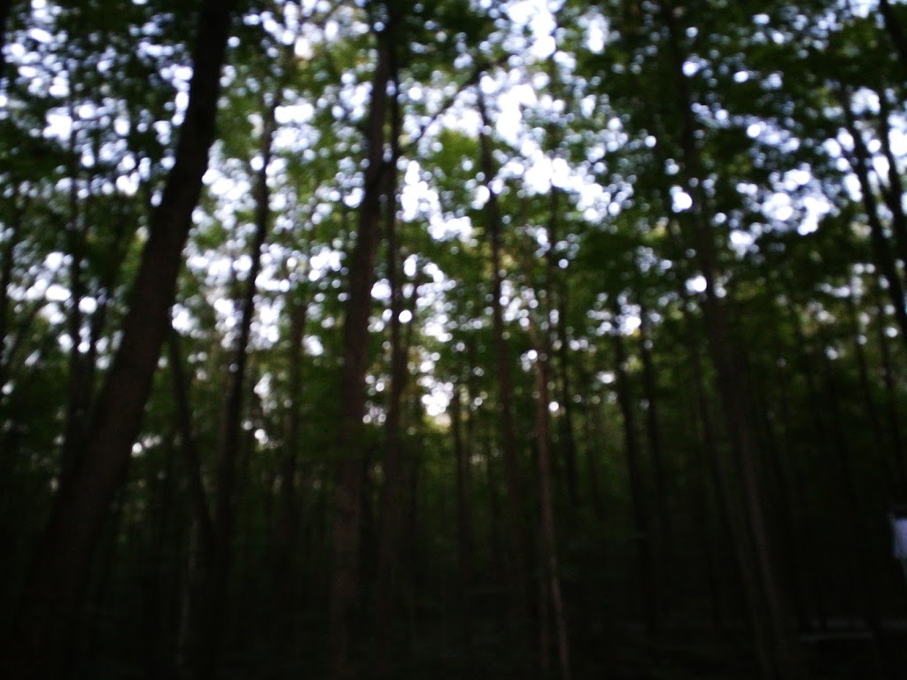 Hawk Campground | Tiny, ON L9M 1R2, Canada | Phone: (800) 668-2746