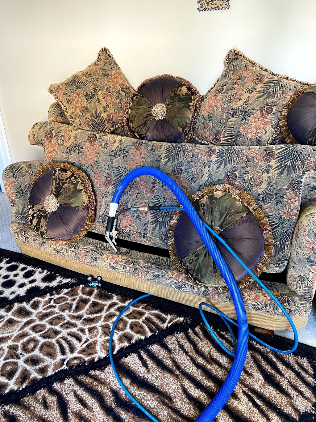 Siawash Carpet Cleaning & House Cleaning Services | 10754 150 St, Surrey, BC V3R 4C6, Canada | Phone: (604) 512-4852