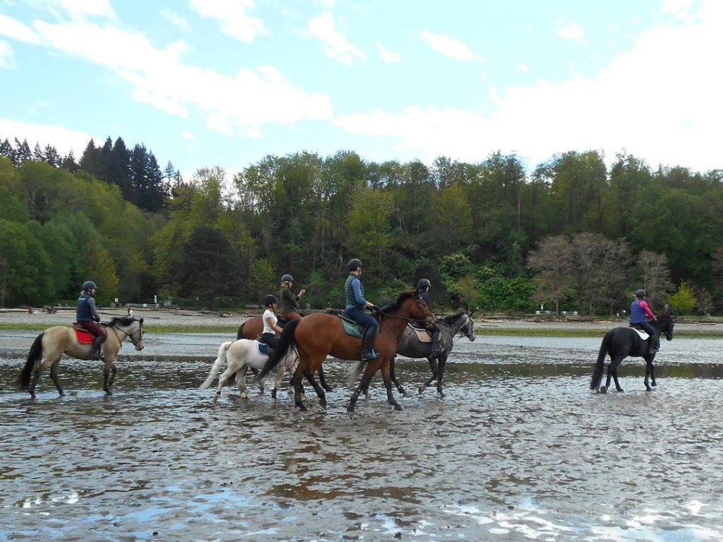 Pinecrest Stables | 7025 Macdonald St, Vancouver, BC V6N 1G2, Canada | Phone: (604) 220-2170