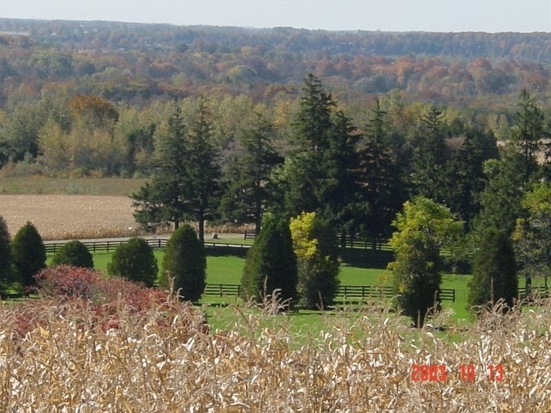 Waymark Farms Ltd | 867733 Township Rd 10, Bright, ON N0J 1B0, Canada | Phone: (519) 632-7355