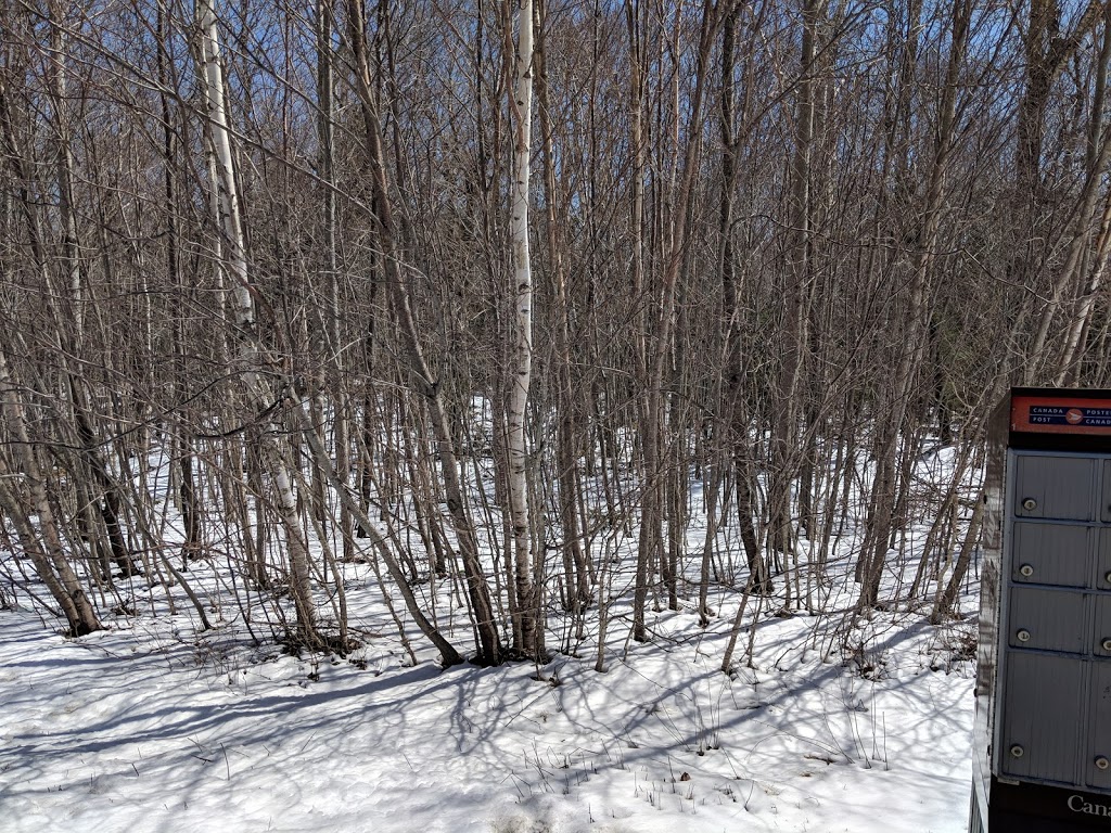 Future Tattenham Crescent Park and Trail | 281 Tattenham Crescent, Hammonds Plains, NS B4B 1V2, Canada