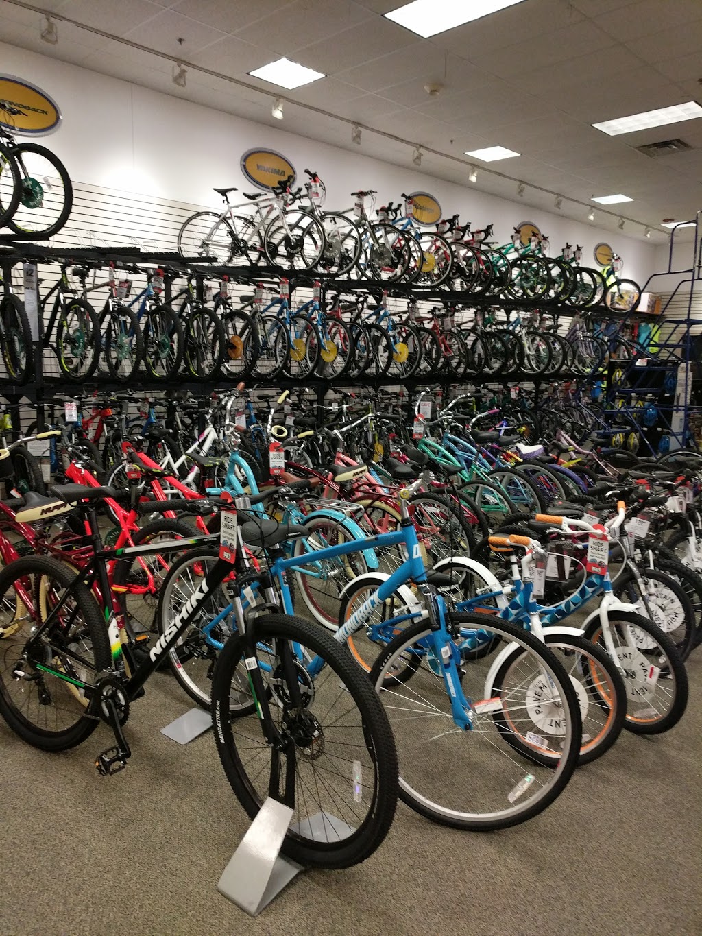 dick's bicycle shop