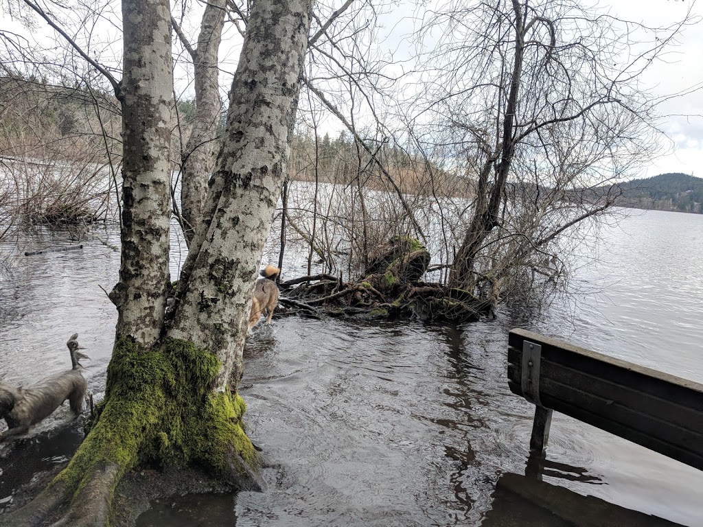 Elk / Beaver Lake Regional Park | Patricia Bay Hwy, Victoria, BC V8Y 2T6, Canada