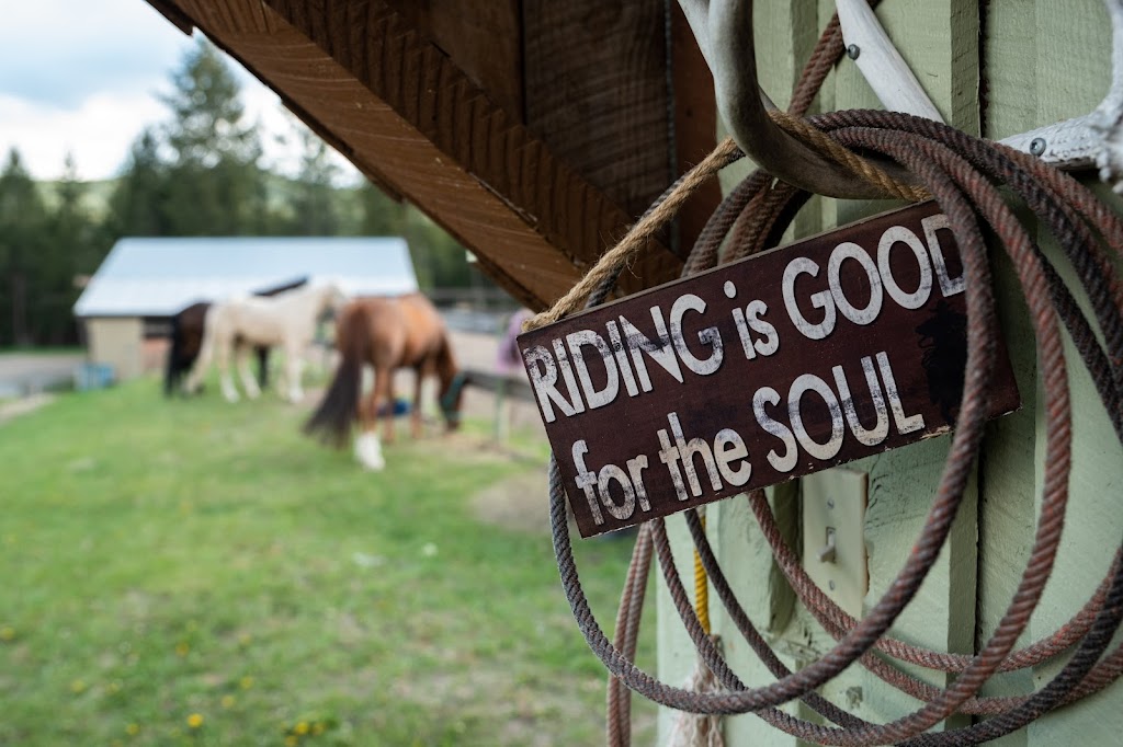 Freedom Equine Association | 4344 Fenwick Rd, Wardner, BC V0B 2J0, Canada | Phone: (250) 430-2233
