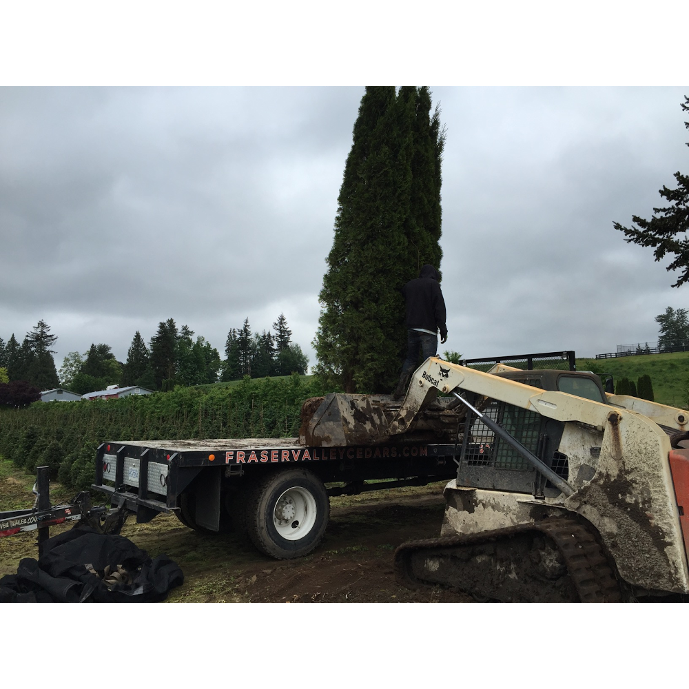 Fraser Valley Cedars | 1186 Columbia St, Abbotsford, BC V2T 5X8, Canada | Phone: (604) 217-2886