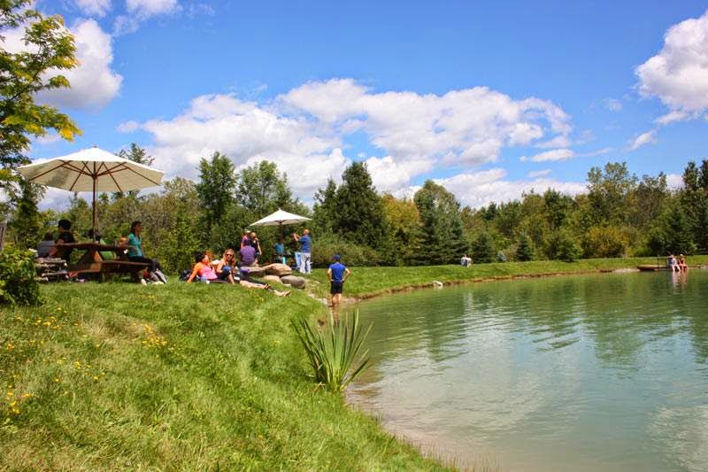 Nirvana Retreats Centre | Simcoe County Rd 50, Adjala-Tosorontio, ON L0N 1P0, Canada | Phone: (647) 881-3264