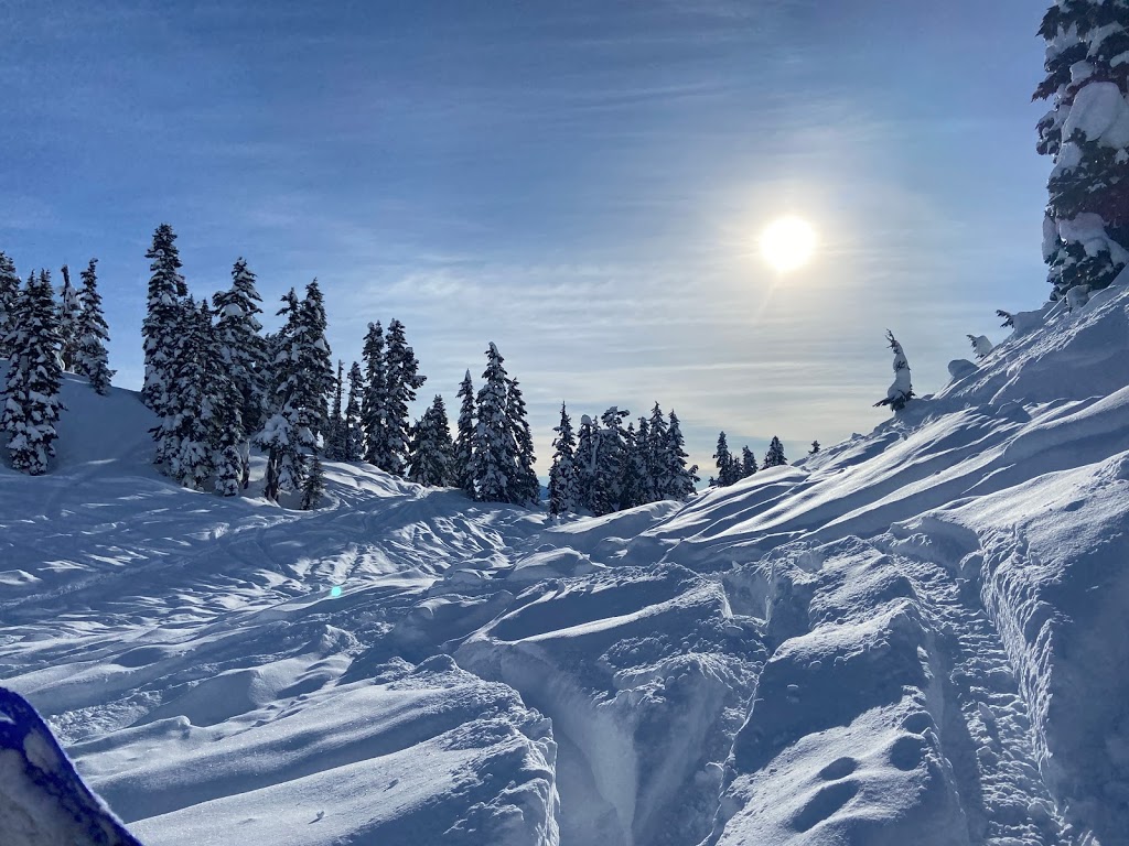 WHISTLER SNOWBIKE | point of interest | 55 BC-99, Whistler, BC V0N 1B1, Canada | 7789387433 OR +1 778-938-7433