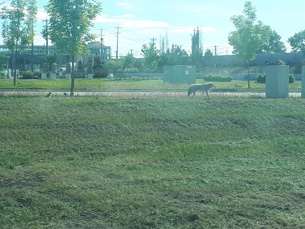 Poplar District Park | 8403 167 Ave NW, Edmonton, AB T5Z 0B3, Canada | Phone: (780) 457-0948