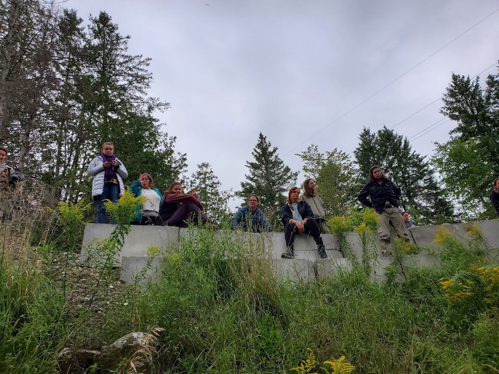 P3 Permaculture | 40 Chem. Mill, Chelsea, QC J9B 1K8, Canada | Phone: (438) 228-5883