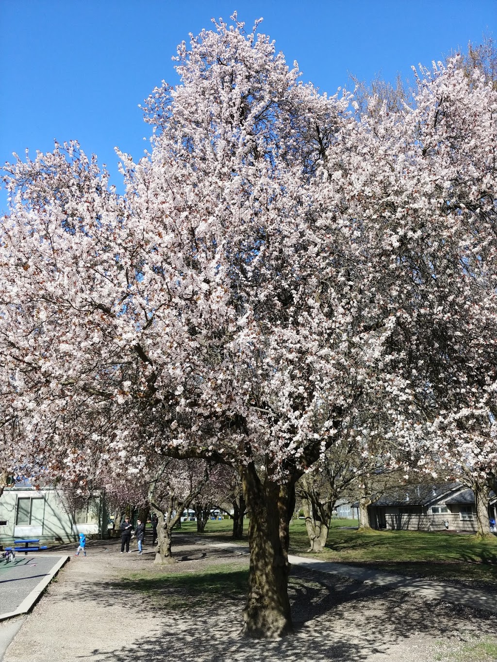 Carnarvon Park | 2995 W 19th Ave, Vancouver, BC V6L 3C3, Canada | Phone: (604) 873-7000