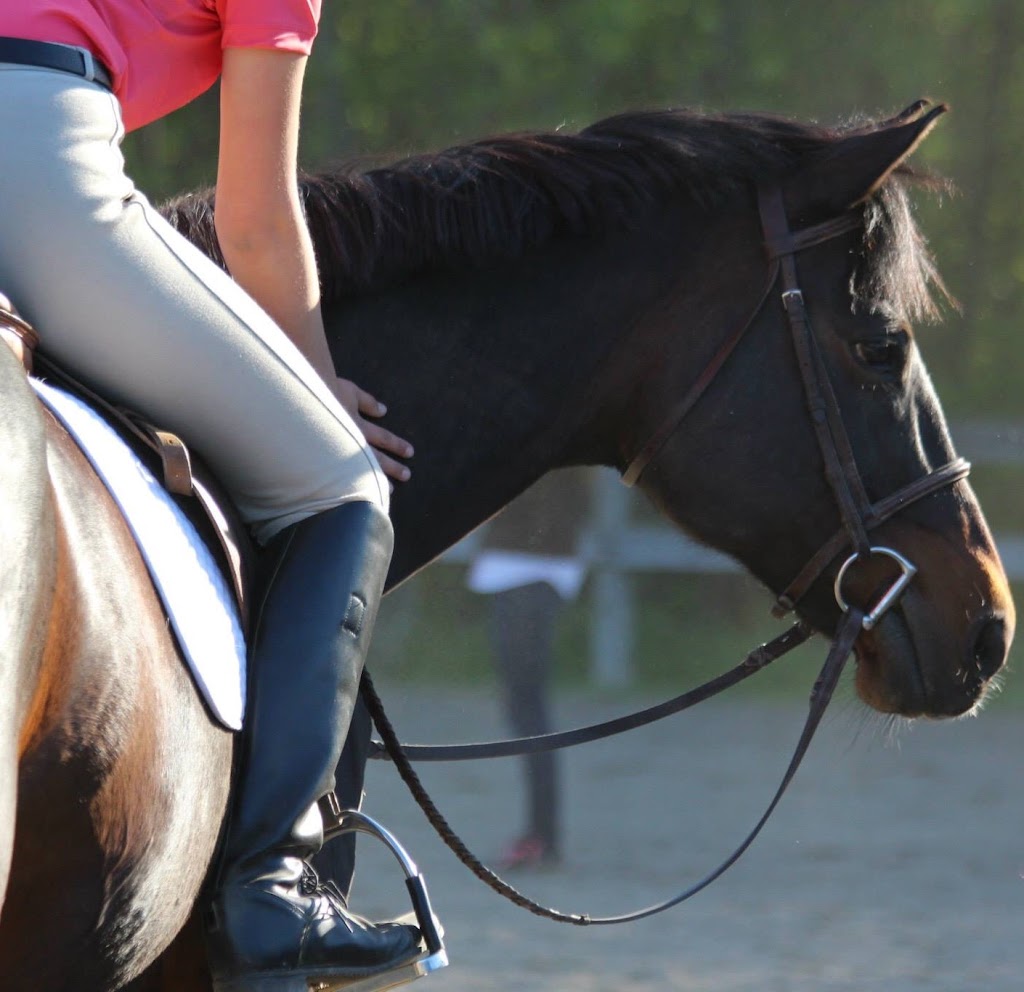 Whitewater Equestrian Centre | 20771 Hwy 17, Pembroke, ON K8A 6W3, Canada | Phone: (613) 633-1331