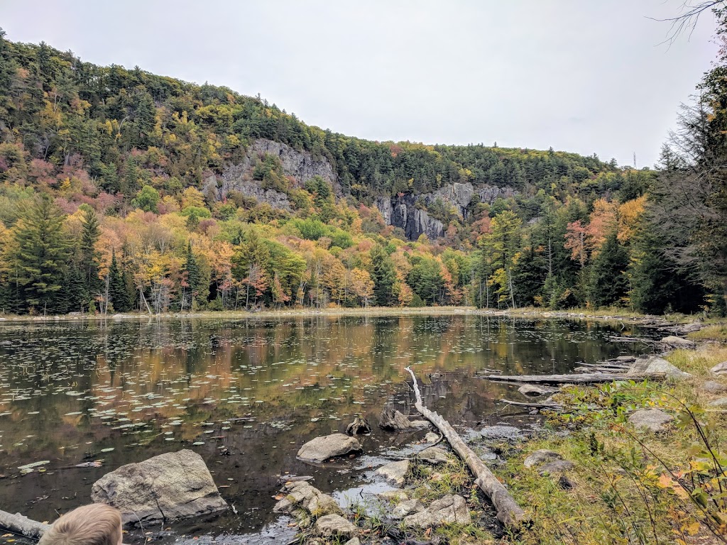 Alfred Kelly Nature Reserve | 1272 Rue de la Traverse, Prévost, QC J0R 1T0, Canada