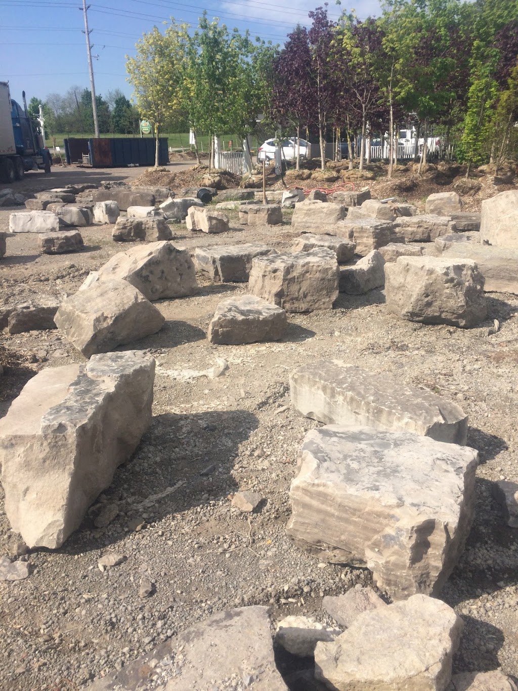 Maple Lane Nurseries & Landscaping | Taunton Rd, Bowmanville, ON L1C 3K2, Canada | Phone: (905) 263-4767