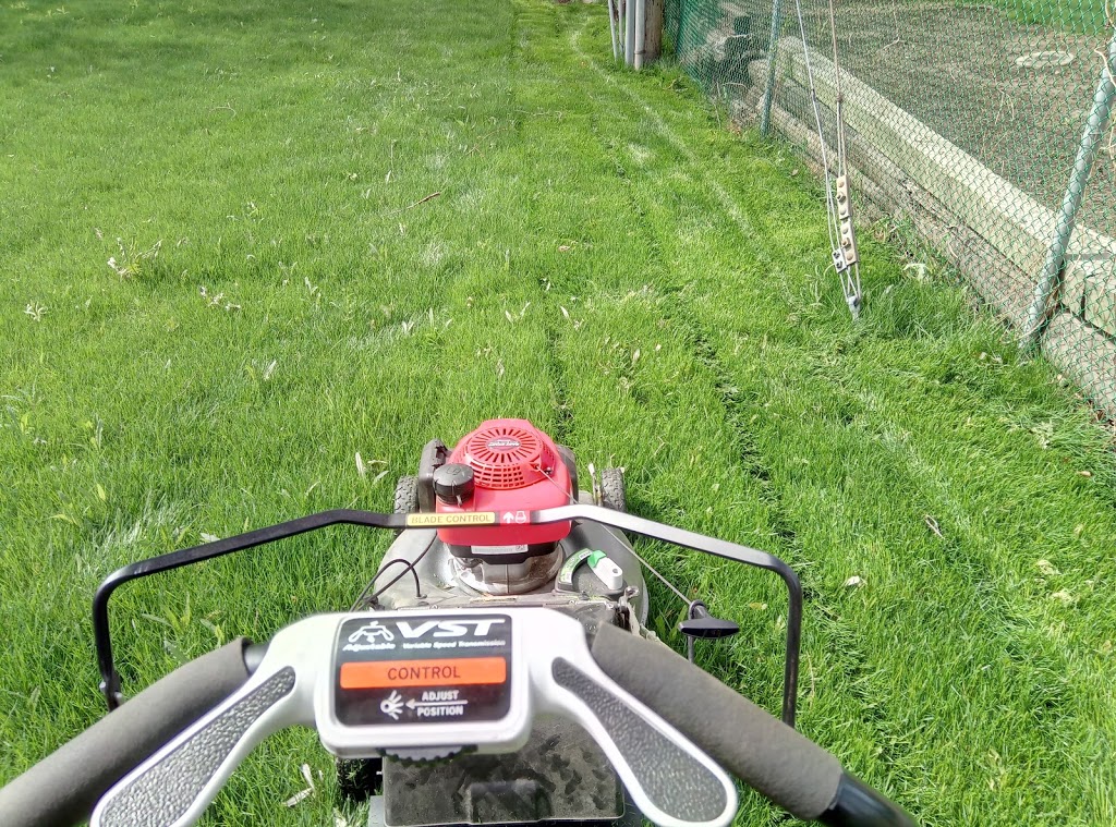 Newmarket Mower Ltd | 382 Mulock Dr, Newmarket, ON L3Y 9B8, Canada | Phone: (905) 853-2644