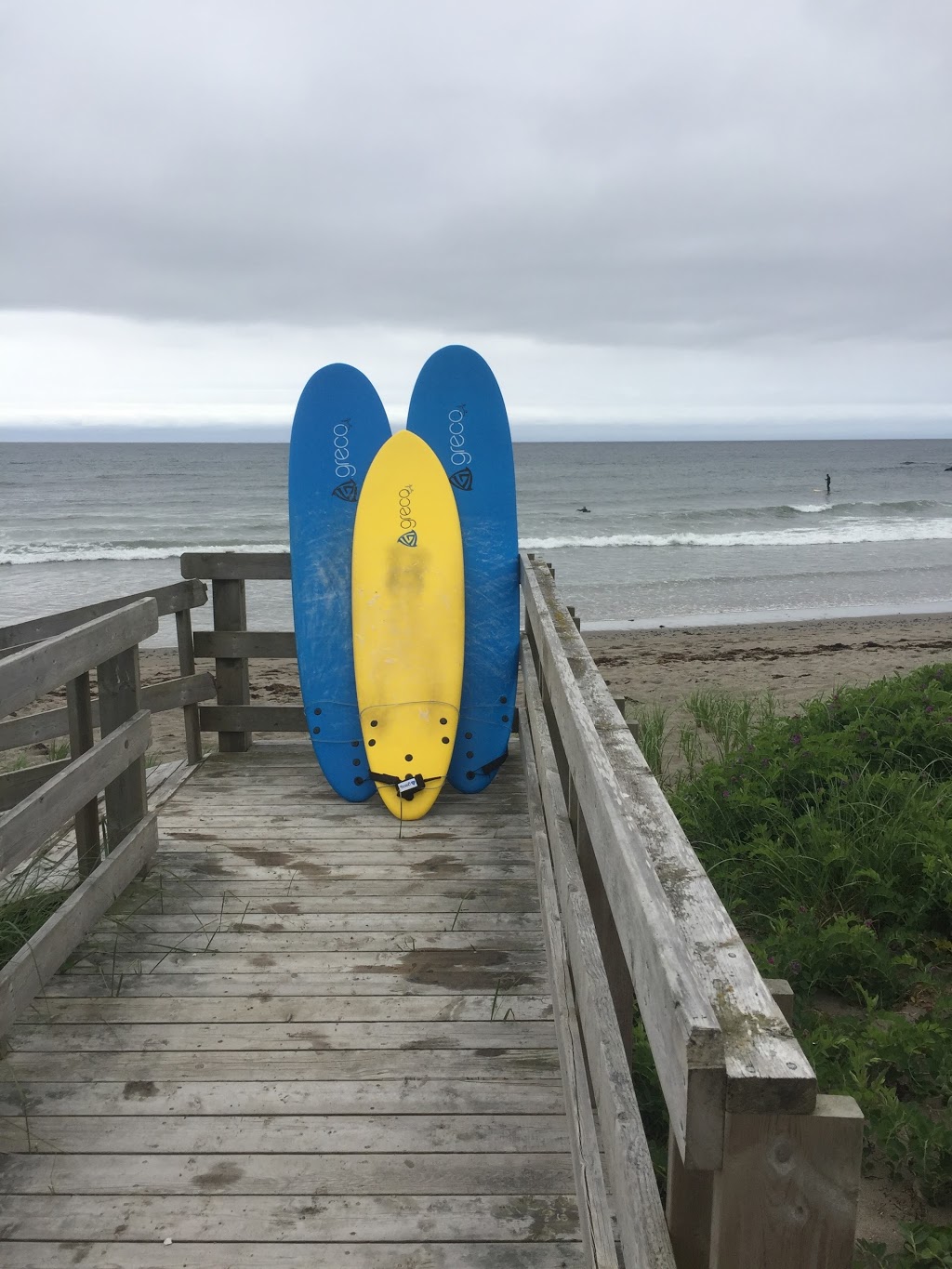 Halifax Surf School | 2315 E Petpeswick Rd, Musquodoboit Harbour, NS B0J 2L0, Canada | Phone: (902) 789-5483