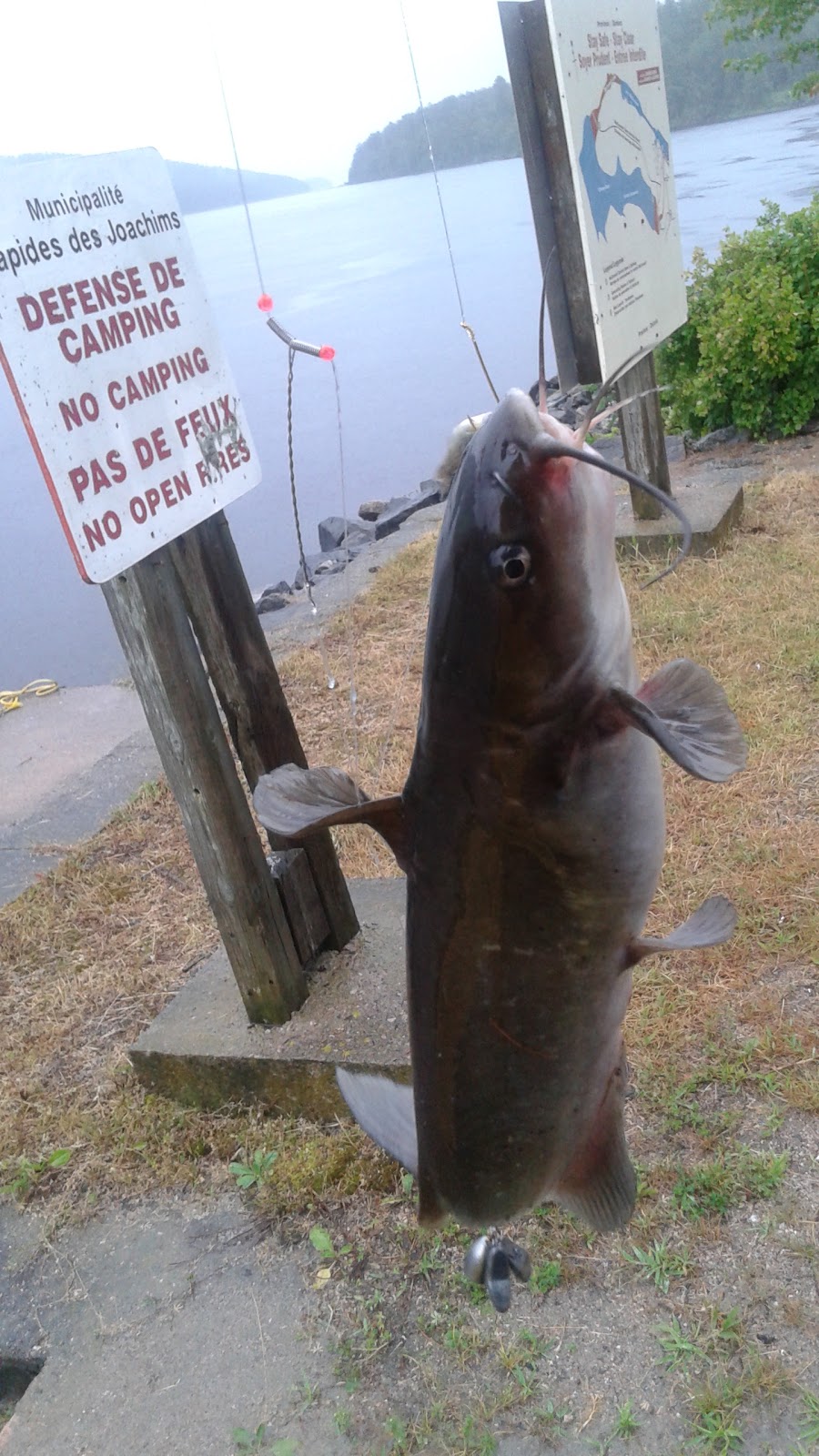 Algonquin Canoe Company - Swisha | 228 Rue Principale, Rapides-des-Joachims, QC J0X 3M0, Canada | Phone: (613) 586-2655
