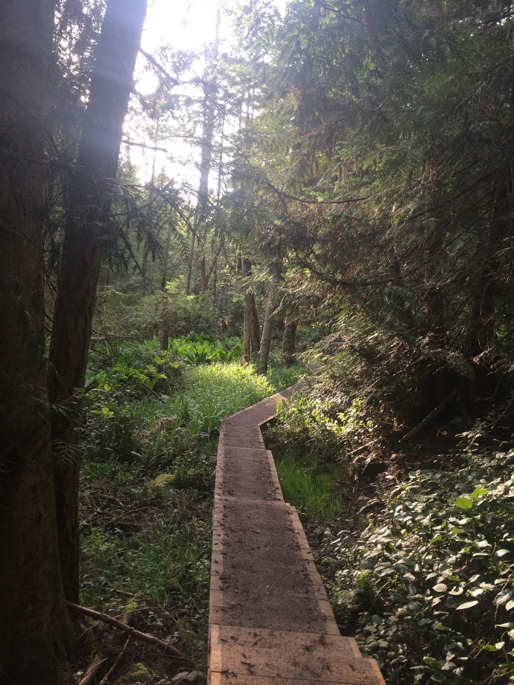 Capstan Lane Park | Pender Island, BC V0N 2M2, Canada