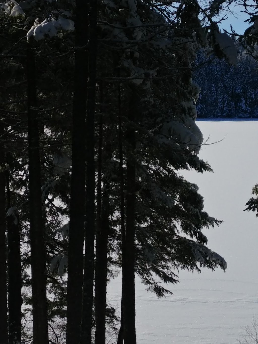 Poste daccueil Perthuis de la ZEC Batiscan-Neilson | Km 63, QC-367, Rivière-à-Pierre, QC G3L 3Y1, Canada | Phone: (418) 323-2075