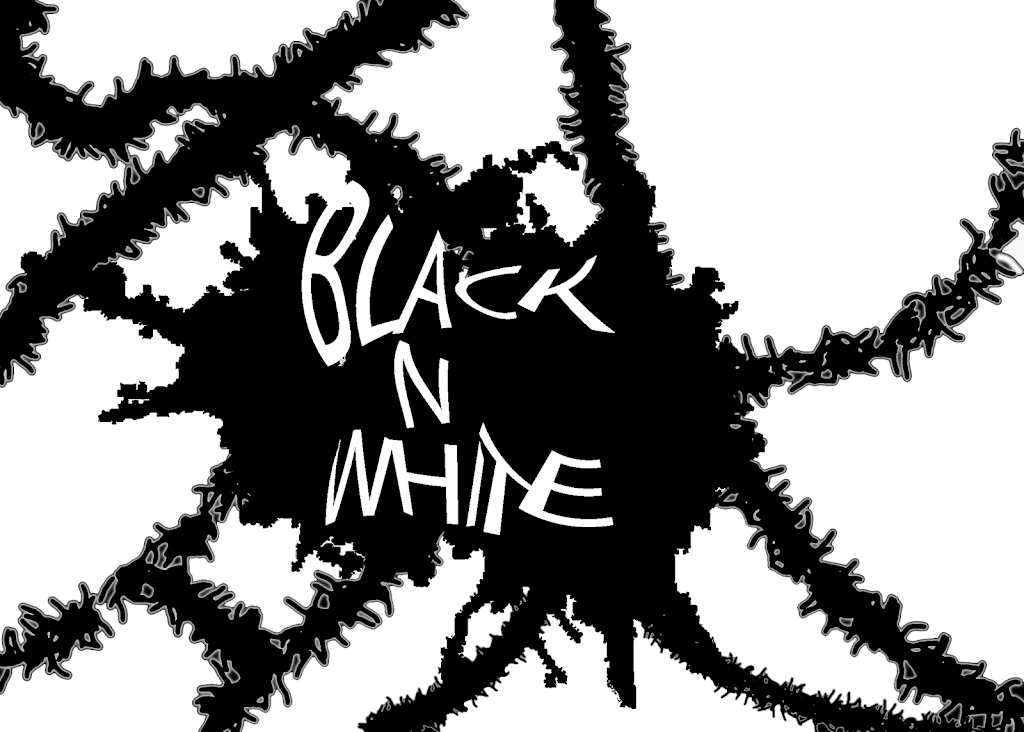 Black n White | Rue St Louis, Thetford Mines, QC G6H 1J6, Canada | Phone: (418) 946-4941