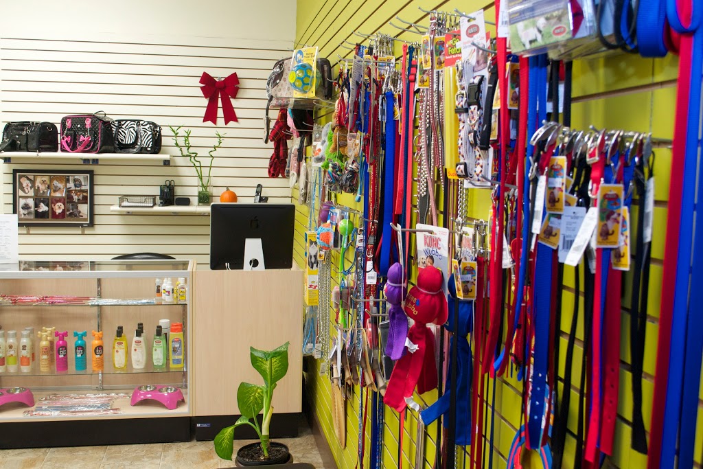 Le Coin Du Chien - Toilettage | 7250 Boulevard Taschereau, Brossard, QC J4W 1M9, Canada | Phone: (450) 486-7200