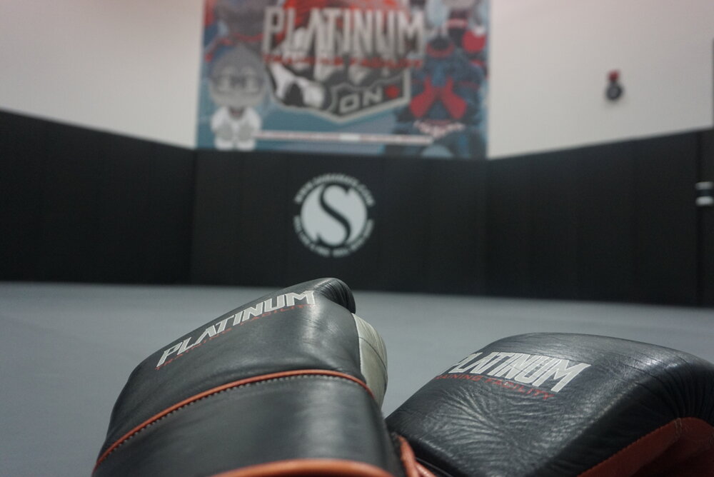 Platinum Training Facility | 1305 Commissioners Rd E, London, ON N6M 0B8, Canada | Phone: (226) 271-8381