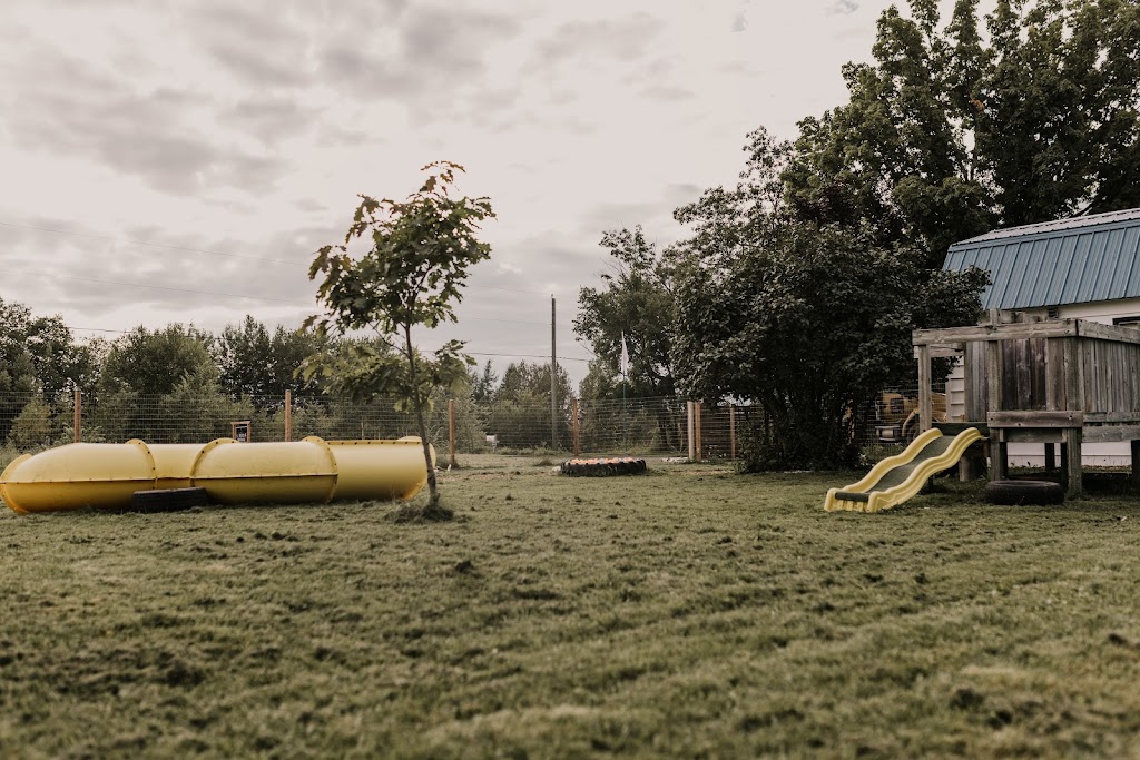 Auroraw Doggy Stay and Play Dog Boarding + Daycare | 8131 NB-126, Harcourt, NB E4T 2Z7, Canada | Phone: (519) 721-3991