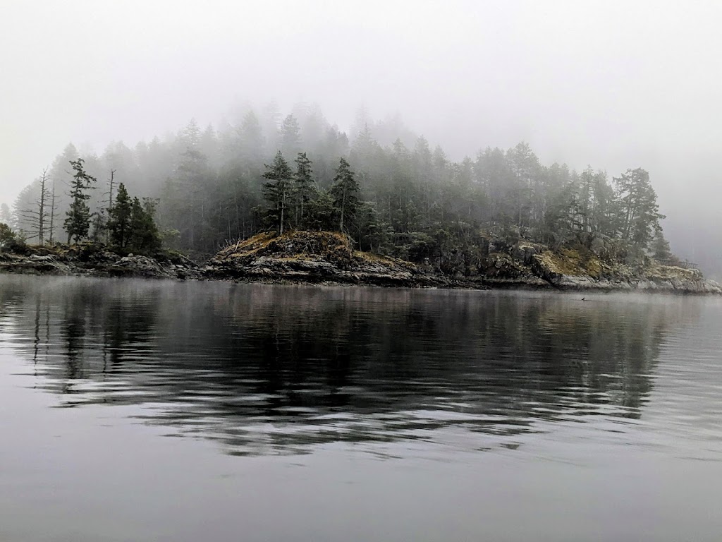 Quadra vista farmstay | Conville Bay Rd, Strathcona, BC V0P 1H0, Canada | Phone: (514) 717-8893