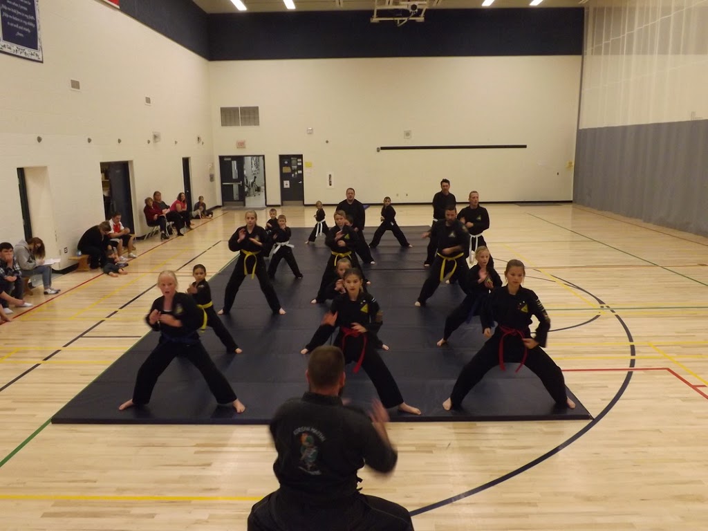 Korean Martial Arts Center | 460 Mapleton Ave, Barrie, ON L4N 9C2, Canada | Phone: (705) 220-6244