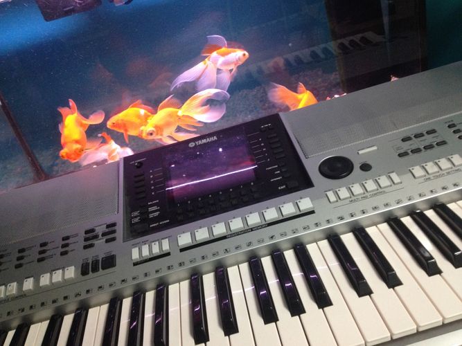 Jarvis Phan Music Studio | 10419 Newark Pl, Surrey, BC V3R 6T9, Canada | Phone: (778) 242-0996