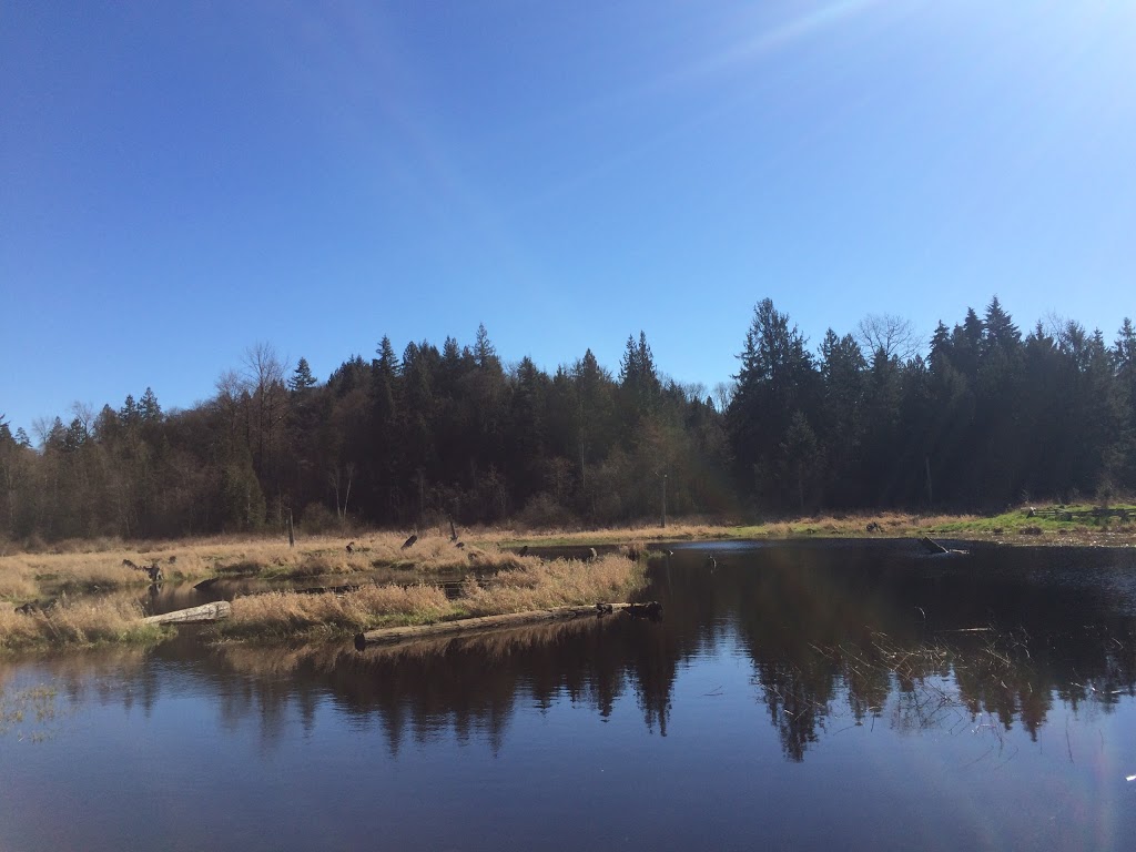 Silverdale Creek Wetlands | 31650 Silverdale Ave, Mission, BC V4S 1J8, Canada