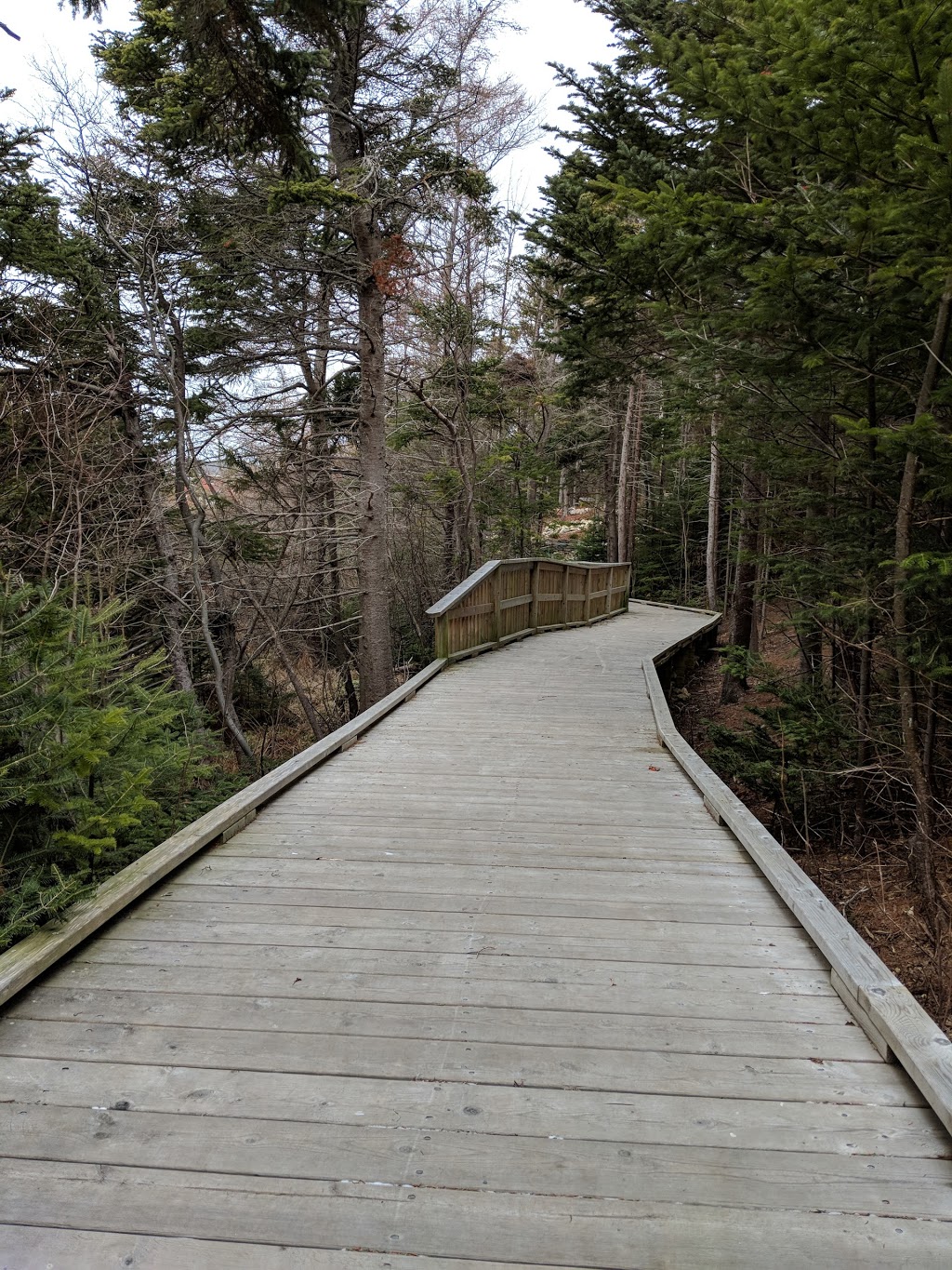 Chamberlains Park | Topsail Rd, Conception Bay South, NL A1W 4A6, Canada