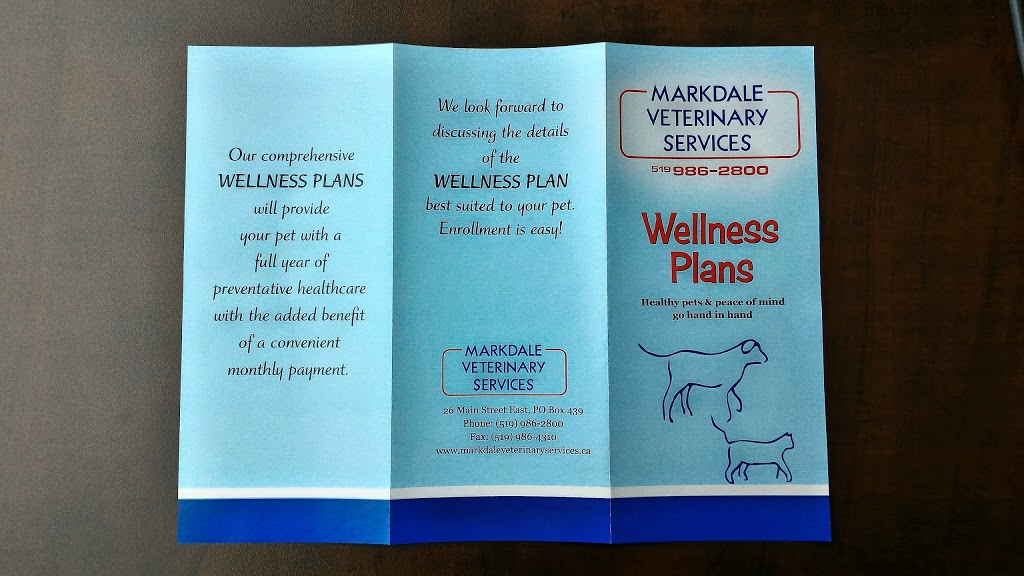 Markdale Veterinary Services | 26 Main St E, Markdale, ON N0C 1H0, Canada | Phone: (519) 986-2800