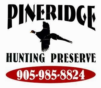 Pine Ridge Hunting Preserve | 2130 Durham Road 6, Saintfield Road, Seagrave, ON L0C 1H0, Canada | Phone: (905) 985-8824