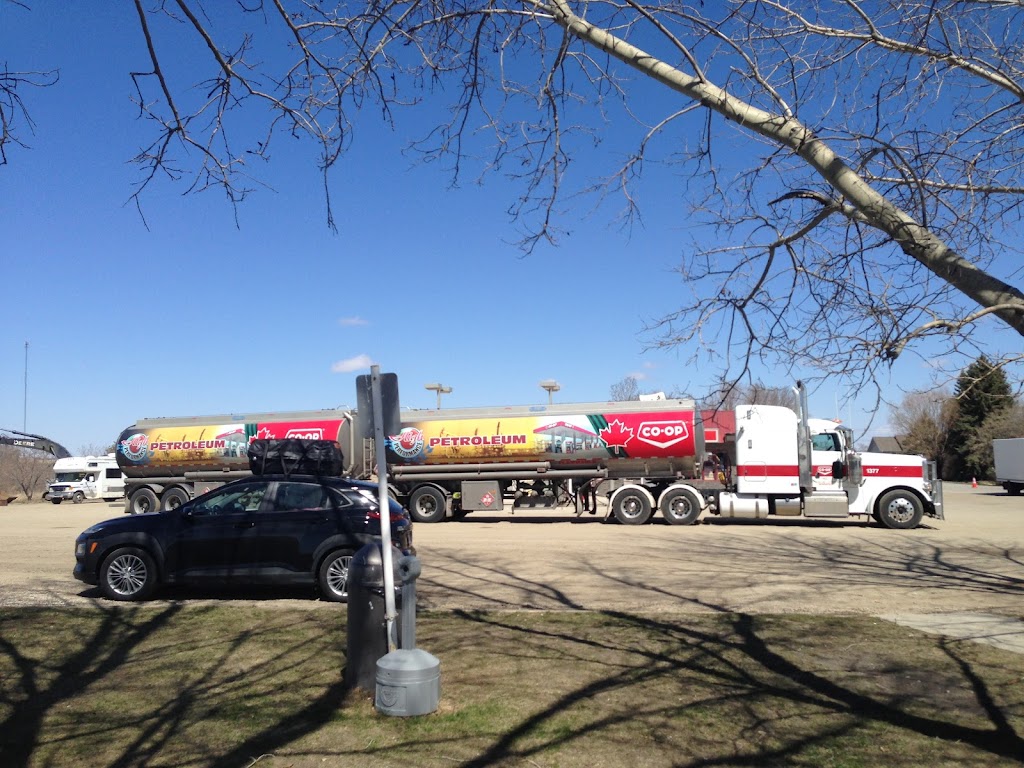Esso | 104 Balsam St, Wolseley, SK S0G 5H0, Canada | Phone: (306) 698-2868
